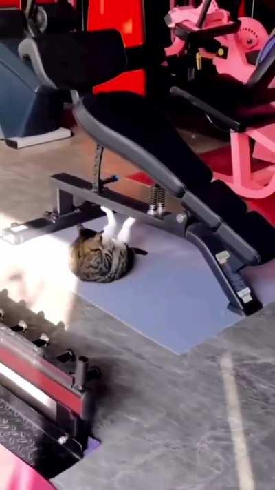 First day working at the gym