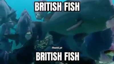 Br*'ish fish