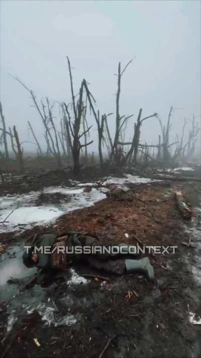 Russian soldiers films Russia corpses and destroyed equipment in a treeline somewhere in eastern Ukraine