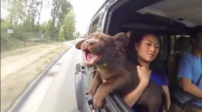 Loving the wind on a car ride