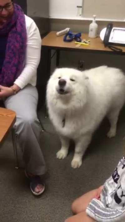 Found this old video of my middle schools therapy dog howling and I just had to post it, god I miss him