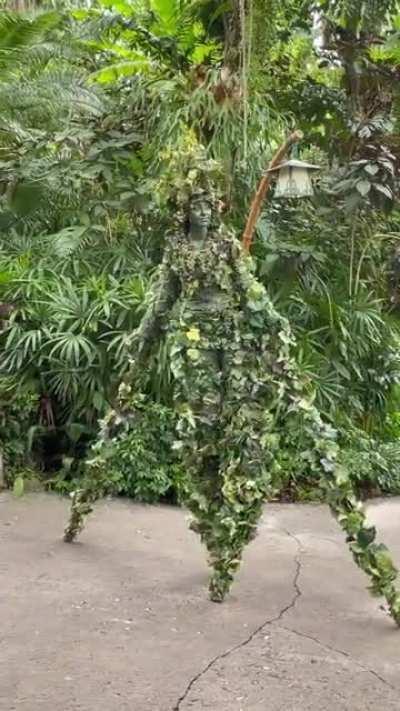 DiVine at Disney's Animal Kingdom stands about 16 feet tall and is perched upon stilts wrapped in ornate vines and lush foliage. She does not speak or sign autographs