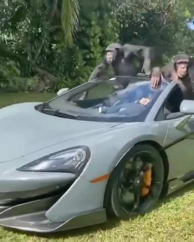 Me and the boys after Bitcoin reaches 50k!