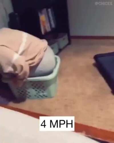 Seems like the perfect cruise speed for a laundry basket is between 3 and 4 MPH, this information might come in handy never.