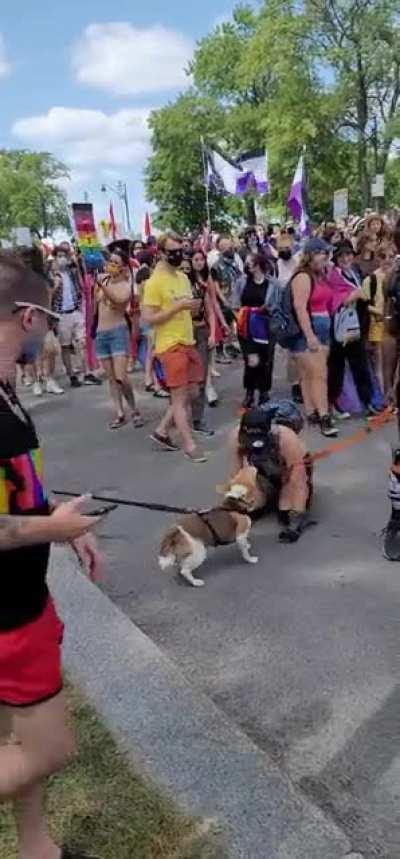 Bizarre video from Montreal Pride