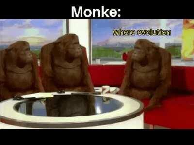 Return to monke pls. I beg you.