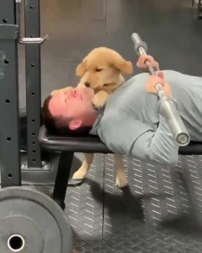 Personal trainer