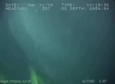 In 2006, scientists were inspecting a gas line 3,000 feet underwater, when they encountered something rather unexpected my