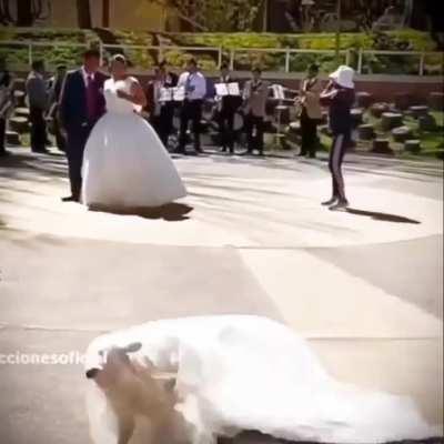 I am the bride now..