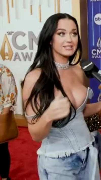 Katy Perry and Her Massive MILFy Mammories!