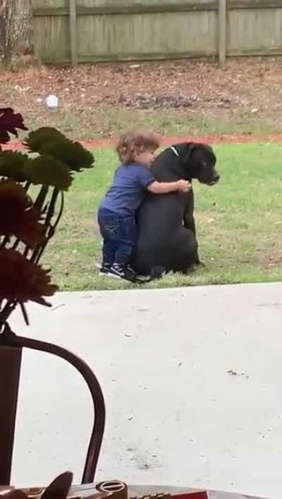 Kid Loves his Dog