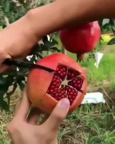 How to slice a pomegranate. Level : Pro