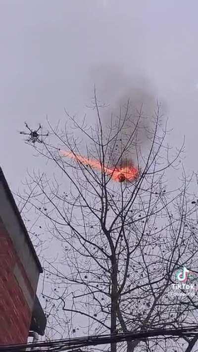 A flamethrower drone taking out a wasp nest