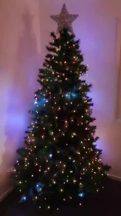 Our Christmas tree turned out awesome this year!