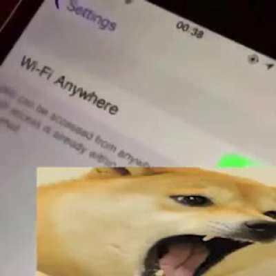 le 21st century humor (doge version) has arrived