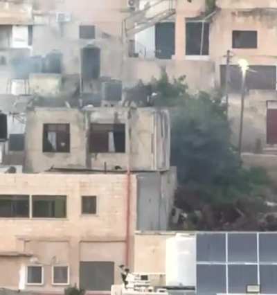 Another video of Israeli soldiers throwing Palestinians off the roof in Jenin, West Bank yesterday