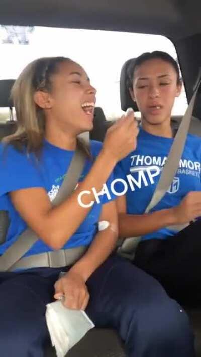 Twins try to use chapstick after visiting the dentist