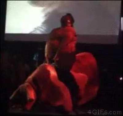 Mechanical Bull