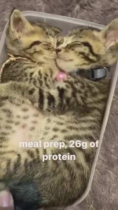 Protein deficiency my a$$