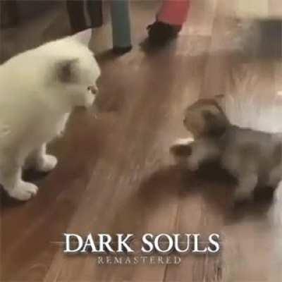 Why haven't we gotten a Dark Souls Anime yet? : r/shittydarksouls