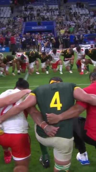 Tonga and Springboks pray together