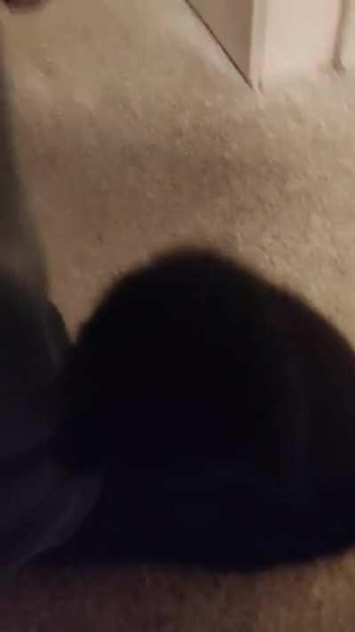 Just a video of me walking