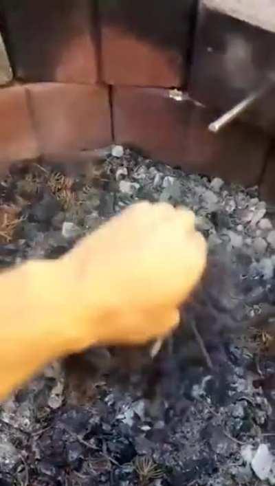 Using a strong magnet to pick up nails out of a fire pit.