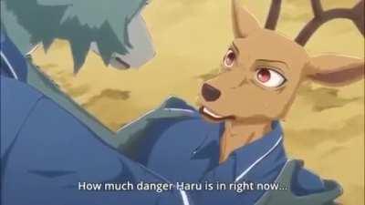 Beastars but real