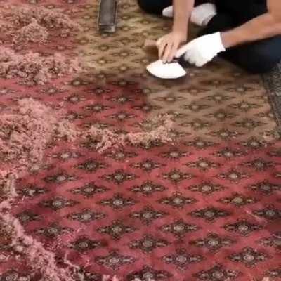 removing sun damage from carpet