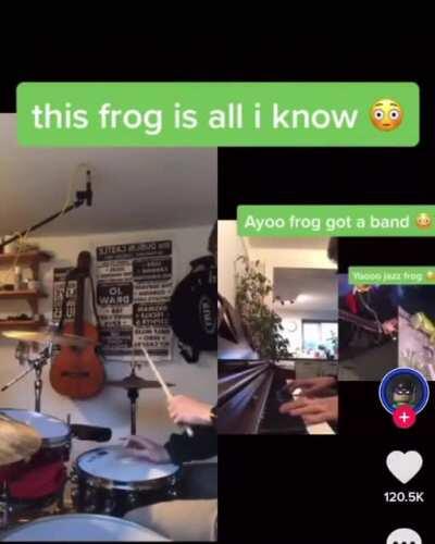 A cool little tune for this frog