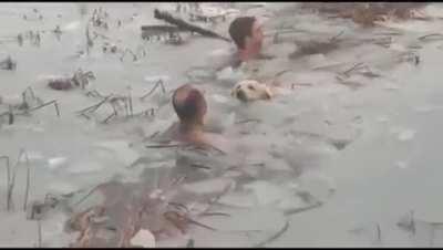 Spanish Police (Guardia Civil) saving a dog from a frozen lake