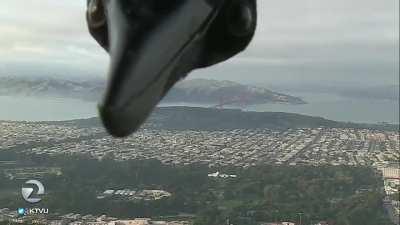 Bird photobombs a weather report