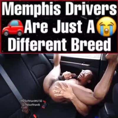 cork Memphis Drivers