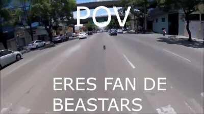 Noo, perro sal de ahi