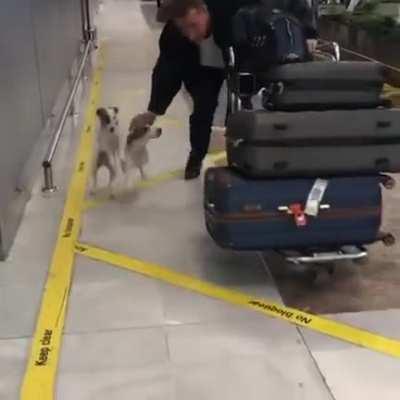 Meeting your best friend(s) at the airport