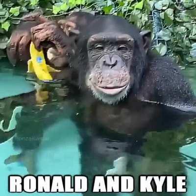 Ronald or Kyle?