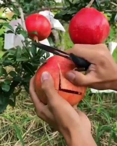 How to effectively slice a pomegranate