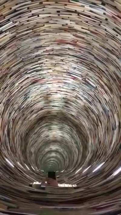 Mirrors create infinite tunnel of books