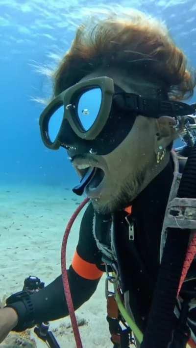 Divers mouth getting cleaned by a fish