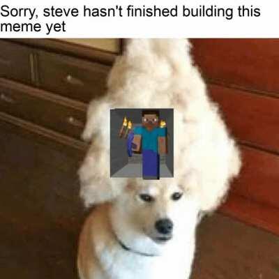 Don't mind steve pls