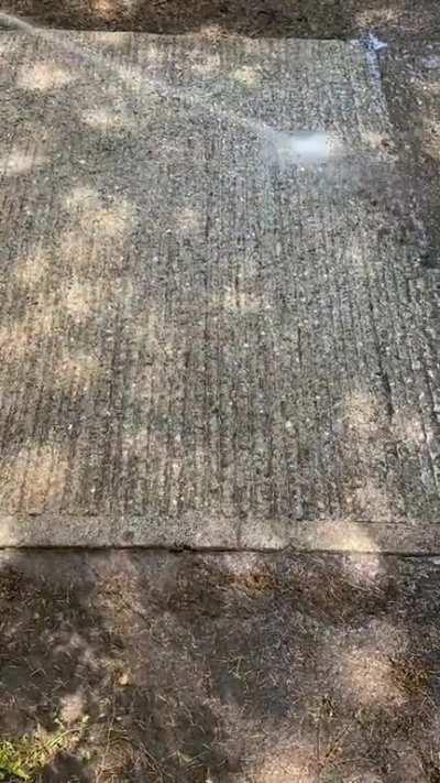 Pressure washing a dirty section of driveway