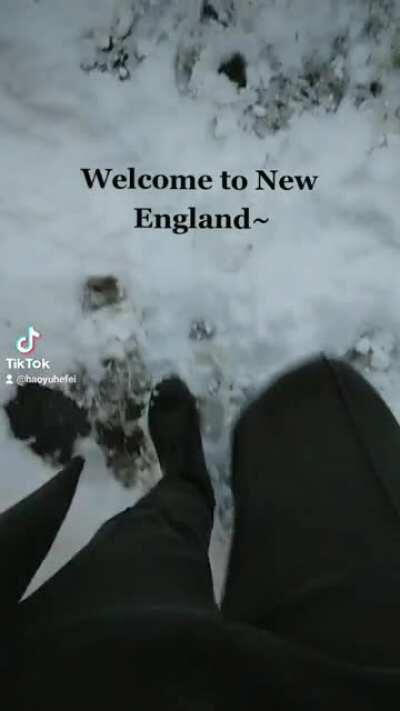 Welcome to New England~ (also, save Myanmar!)