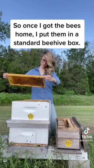 Beekeeper things