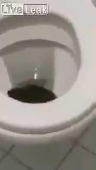 It starts jumping when you're on the toilet seat