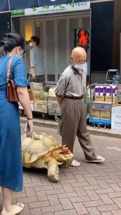 Two longtime friends walking