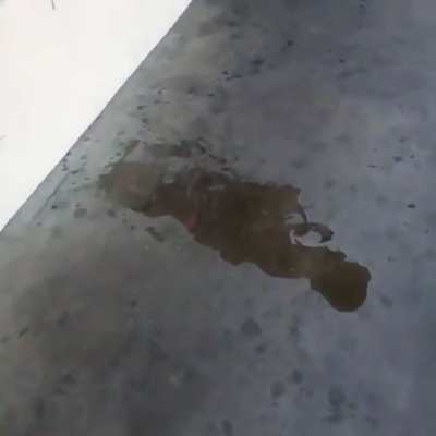 Woman shamelessly pisses in front of a liquor store in Modesto, CA