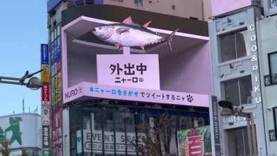 And here is a new cat on a curved LEG-screen in Tokyo's Cross Space near the Shinjuku train station.