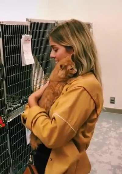 Another owner gets adopted