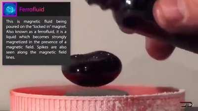 Ferrofluid suspended in magnetic field