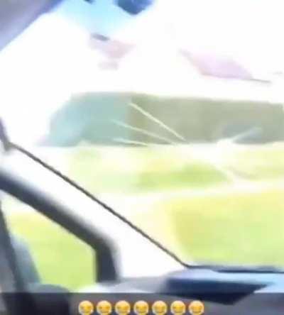 WCGW when you do not wear seatbelt